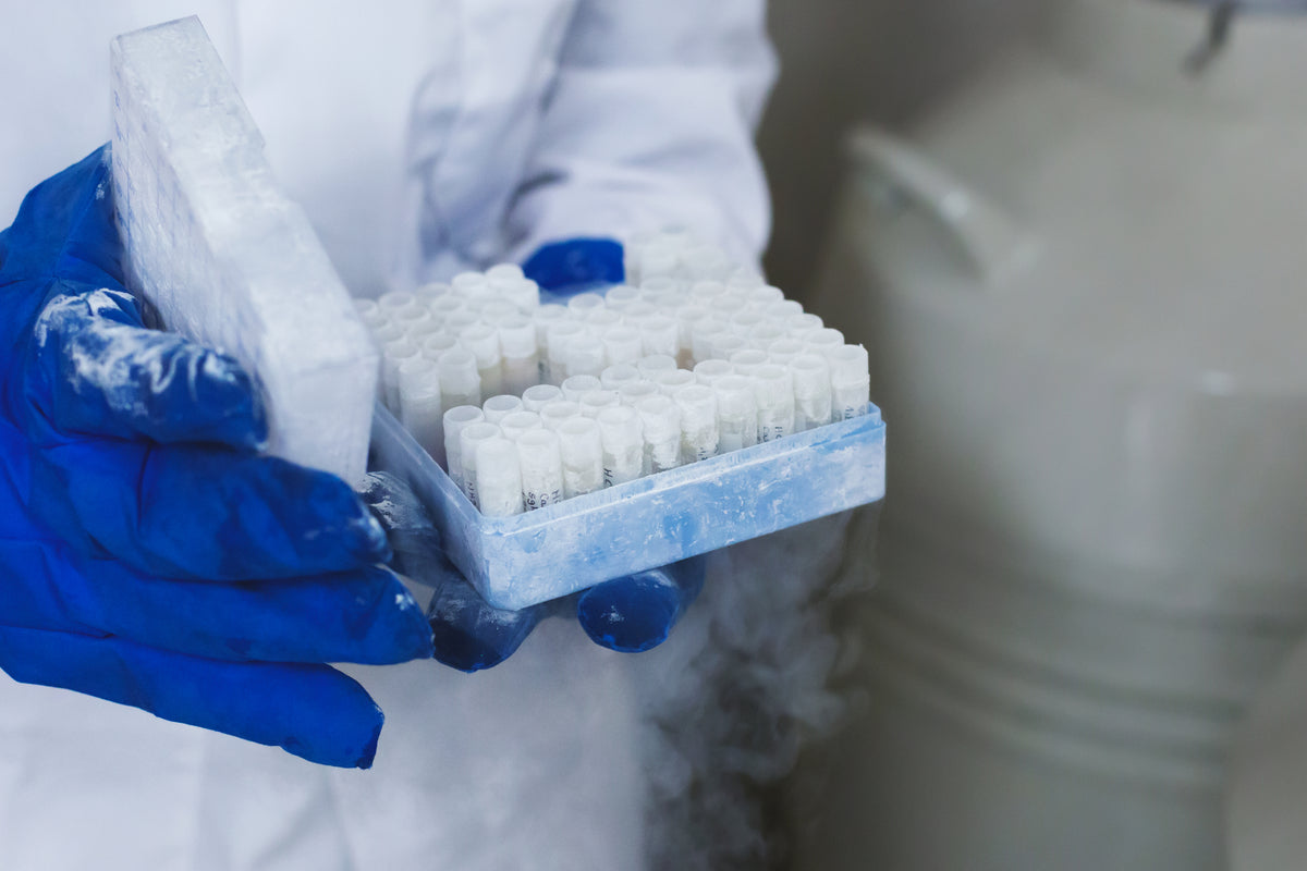 Cholesterol test consultation